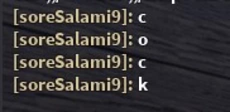 Roblox Chat Bypasser 2022  (No Unicode)