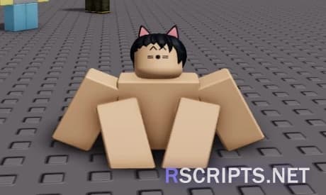 Human Cat FE Animation Script