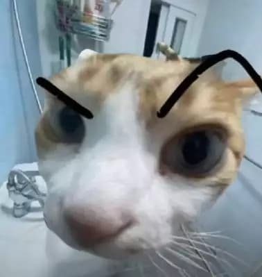 Op script for Rebirth Champions X