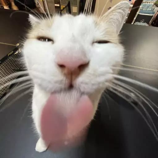 Insane Script For Free Hatchers