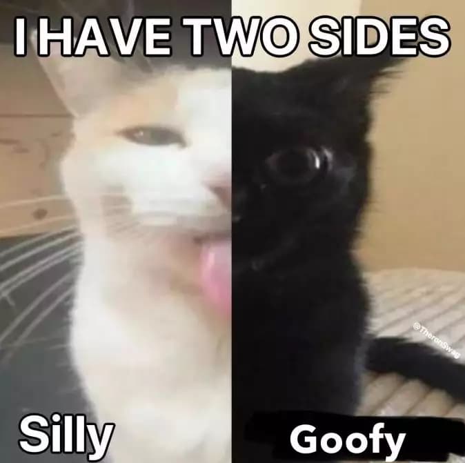 Every Second You Get +1 Flight Script