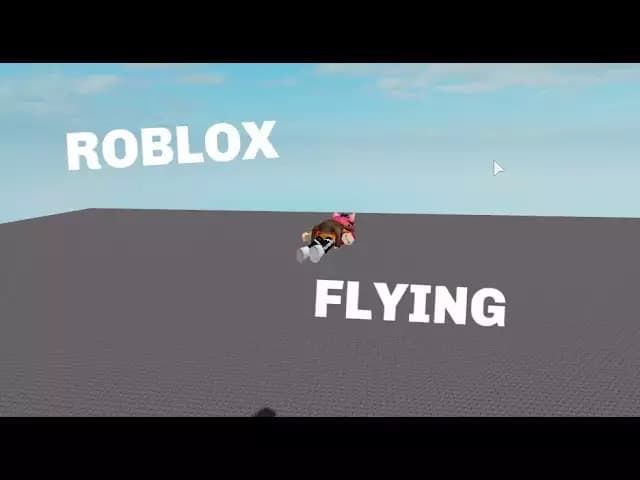 New Script to Fly (Universal)