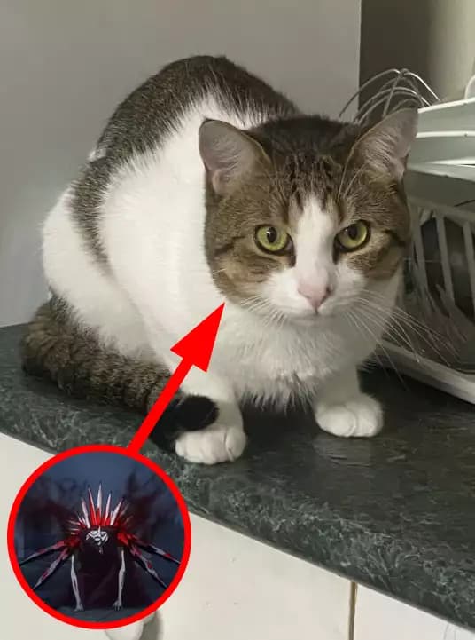 [OP + Fast] Eto Cats Asura Script