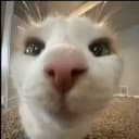 BetterRefresh Inf Yeild plugin