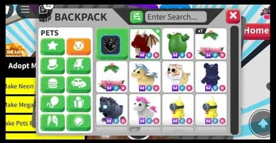 Get all NFR and MFR pets VISUAL SCRIPT PET