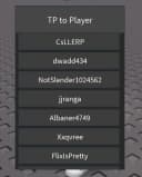 OP TP Gui (tp to any player)