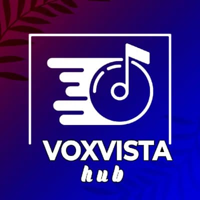 voxvista hub