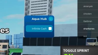 Infinite Cash [VERY OP!]