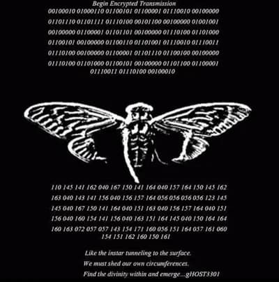 VXSPOT PROJECT | BACK | MOBILE VERISON