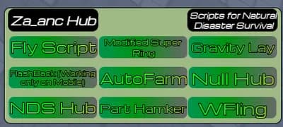 Natural Disaster Survival Script Hub