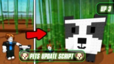 🐶 Pets update 🐶