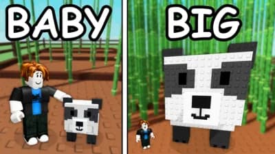 SiurekHub | AutoHatch, AutoPlace, AutoBuy Eggs 