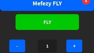 FLY BY MEFEZY 