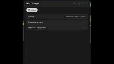Skin Changer Roblox V1.0