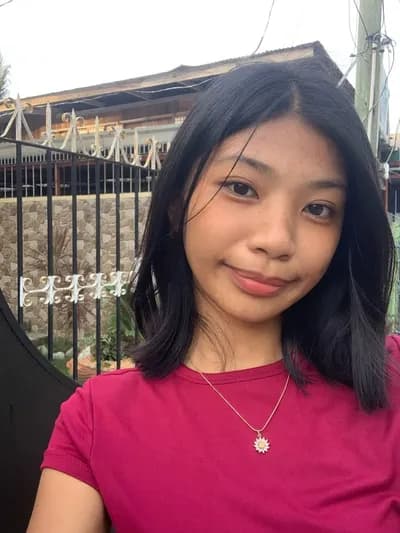 GAG script get pets no key (does not work anymore idk) 