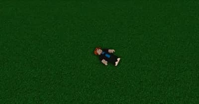 laydown script by me😋