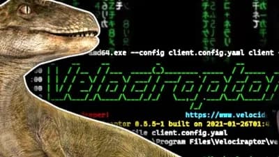 (UPD) Triceratopz Hub UNIVERSAL (cmds in dc server)