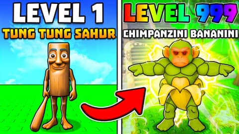 Inf Money Inf Diamond and More Dinas Hub