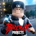 Bronx Projects 💥