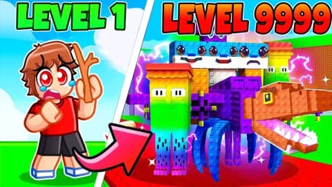 Best Script Dinas Hub 