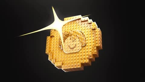 Heads or Tails fast autospin script