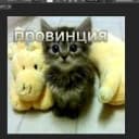 ☀️Провинция