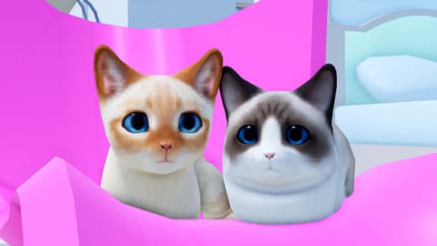 Kitten game minichests