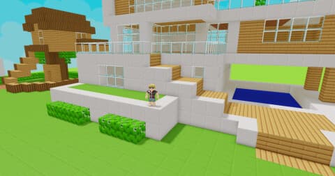Jail All Voxels🔨