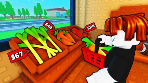 INF MONEY Build A Store