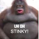 nice menu with basic fetures and can execute scripts