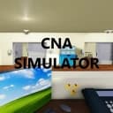 CNA Simulator