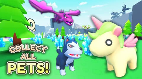 Collect All Pets - MaddHub Free Key