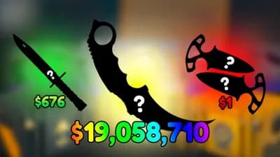 Case Paradise (cheap)